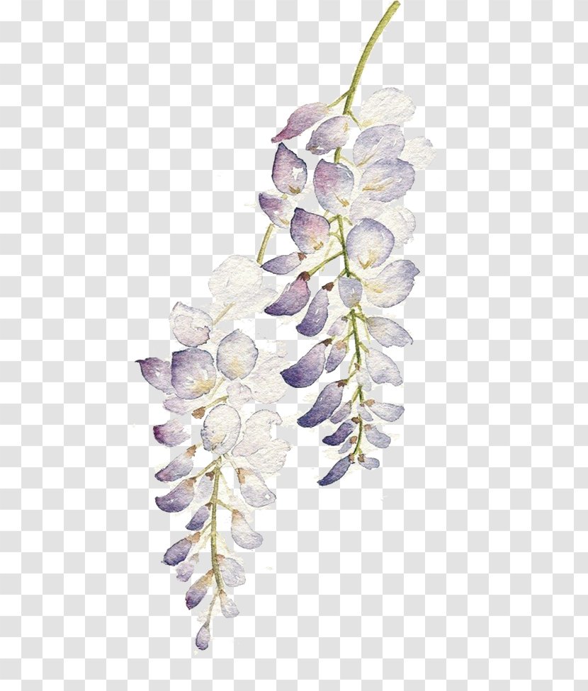 Watercolor: Flowers Watercolour Watercolor Painting - Purple Flower String Transparent PNG