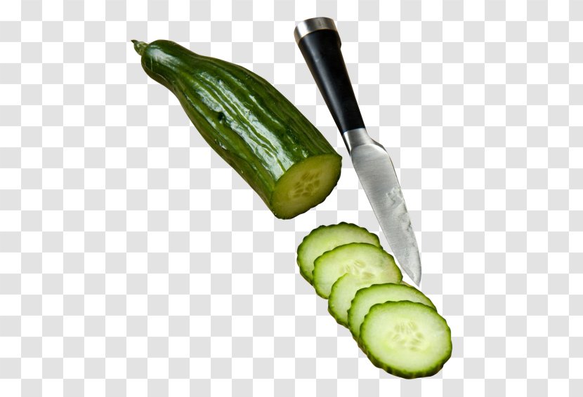 Pickled Cucumber Food Pickling Hamburger Vegetable - Cucumis - Slice Transparent PNG
