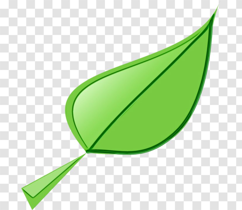 Leaf Green Clip Art Plant Line - Logo Transparent PNG