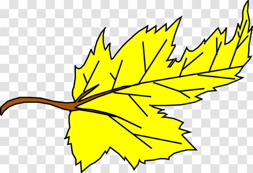 Maple Leaf - Black Woody Plant Transparent PNG