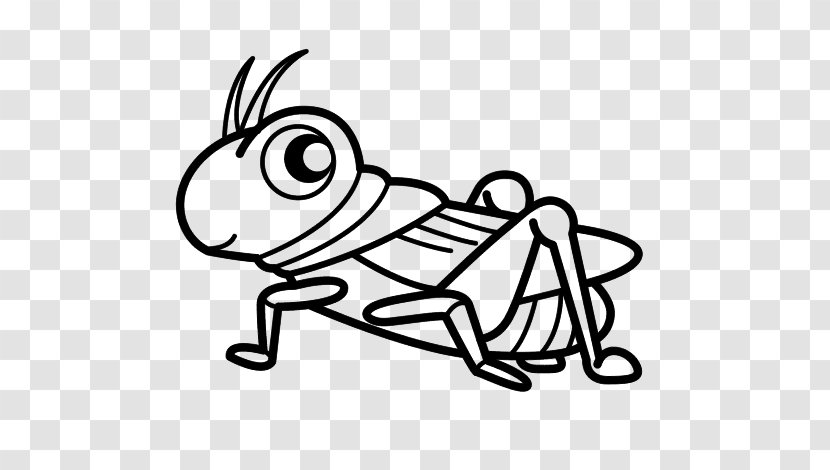 Grasshopper Cricket Drawing Coloring Book Insect - Tree Transparent PNG