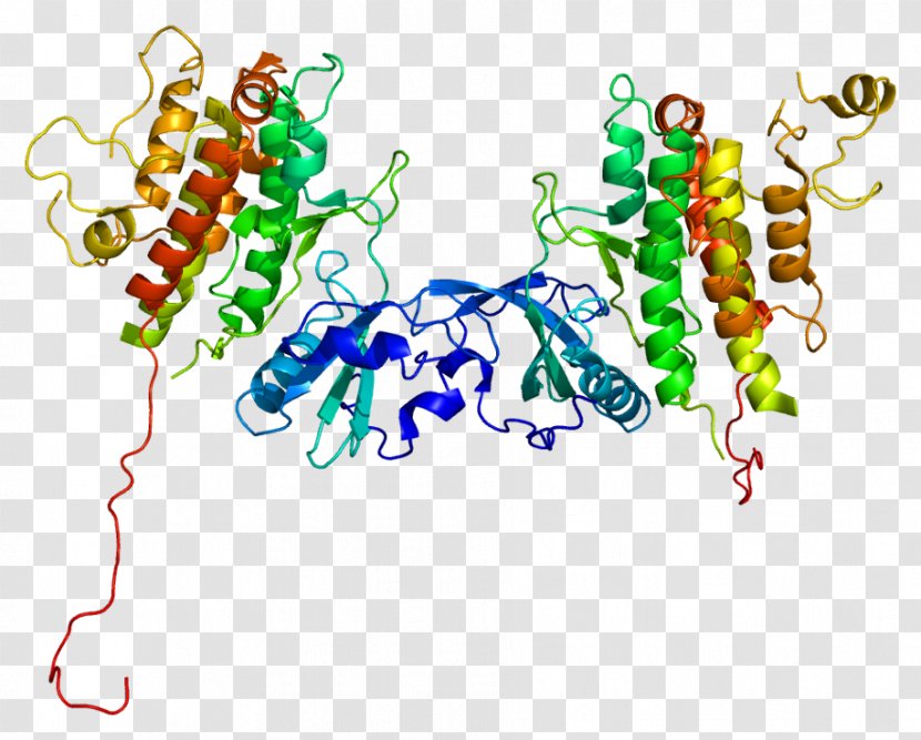 Protein Kinase Mitogen MAPKAPK2 - Frame - Silhouette Transparent PNG