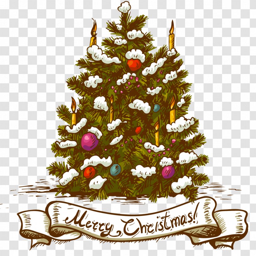 Christmas Tree Ornament - Card - Vector Transparent PNG