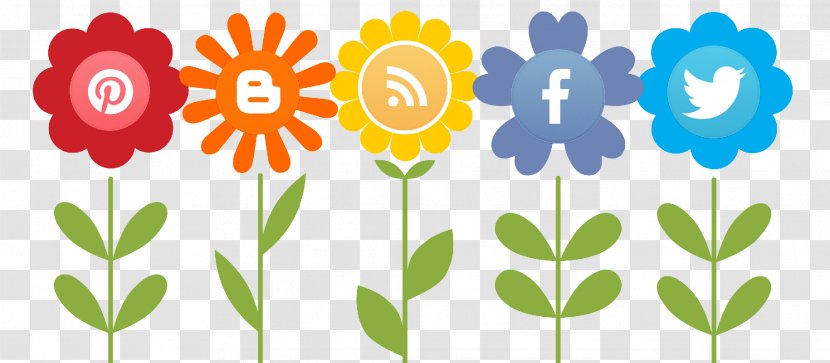 Social Media Marketing Advocacy - Floral Design Transparent PNG