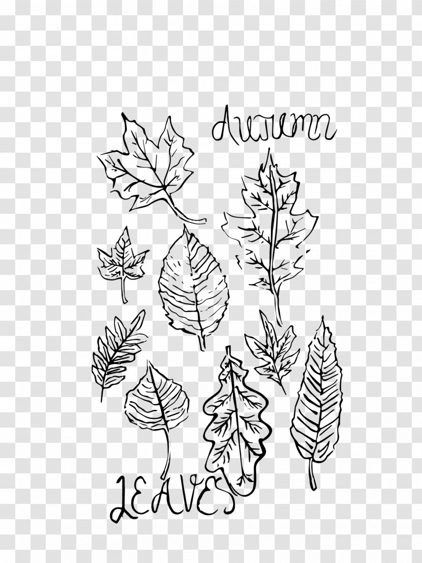 Floral Design /m/02csf Drawing Leaf - Monochrome Photography - Chili Watercolor Transparent PNG
