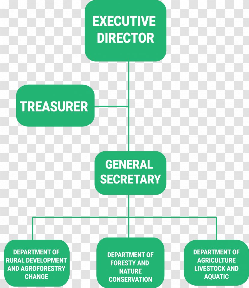 Organizational Chart Non-Governmental Organisation Management Non-profit - Nongovernmental - Government Organs Transparent PNG