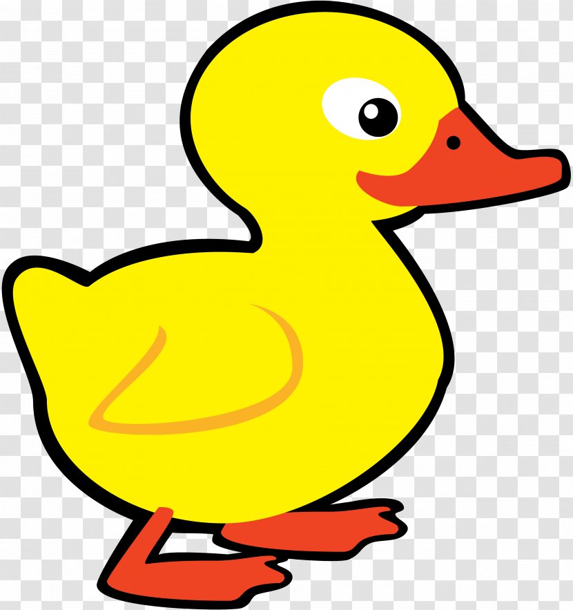 Duck Drawing Clip Art - Ducks Geese And Swans Transparent PNG