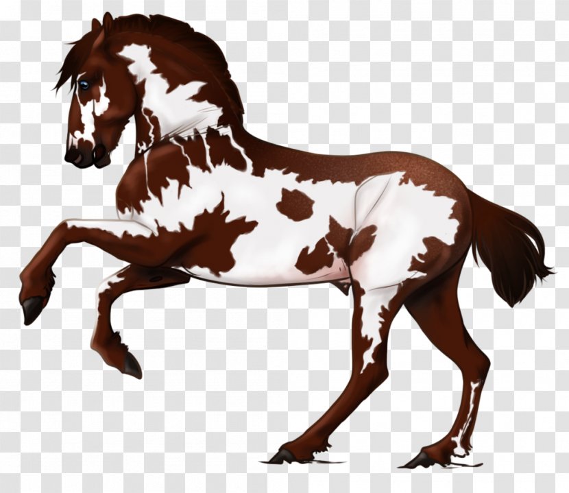 Mane Pony Mustang Mare Foal Transparent PNG