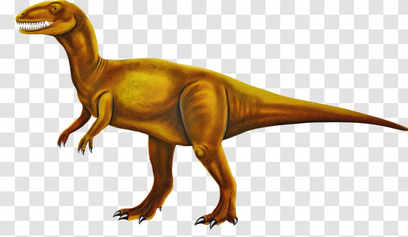 Dinosaur - Claw - Pachycephalosaurus Transparent PNG