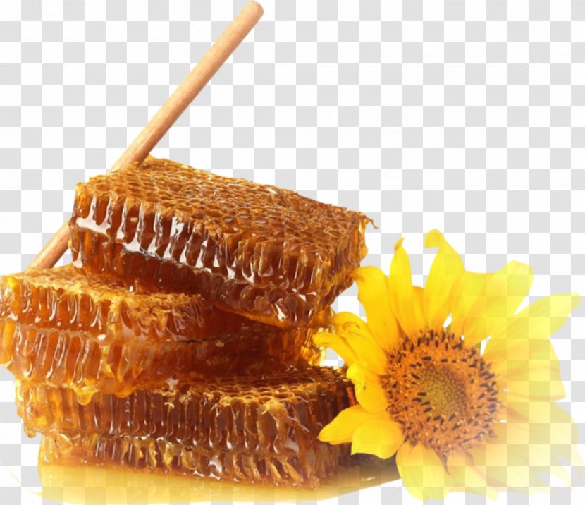 Honey Bee Honeycomb Wallpaper - Oxydendrum Transparent PNG