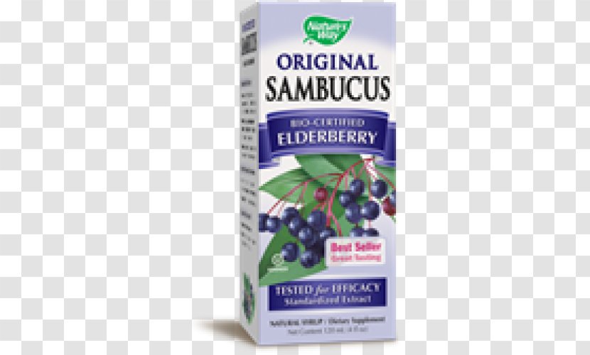 Organic Food Elder Dietary Supplement Syrup Herb - Blueberry Tea - Elderberries Transparent PNG