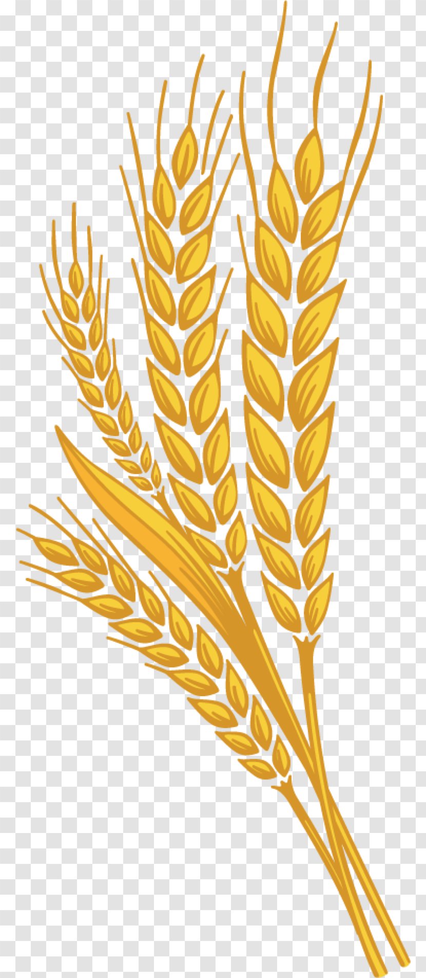 Beer Wheat Clip Art - Branch Transparent PNG
