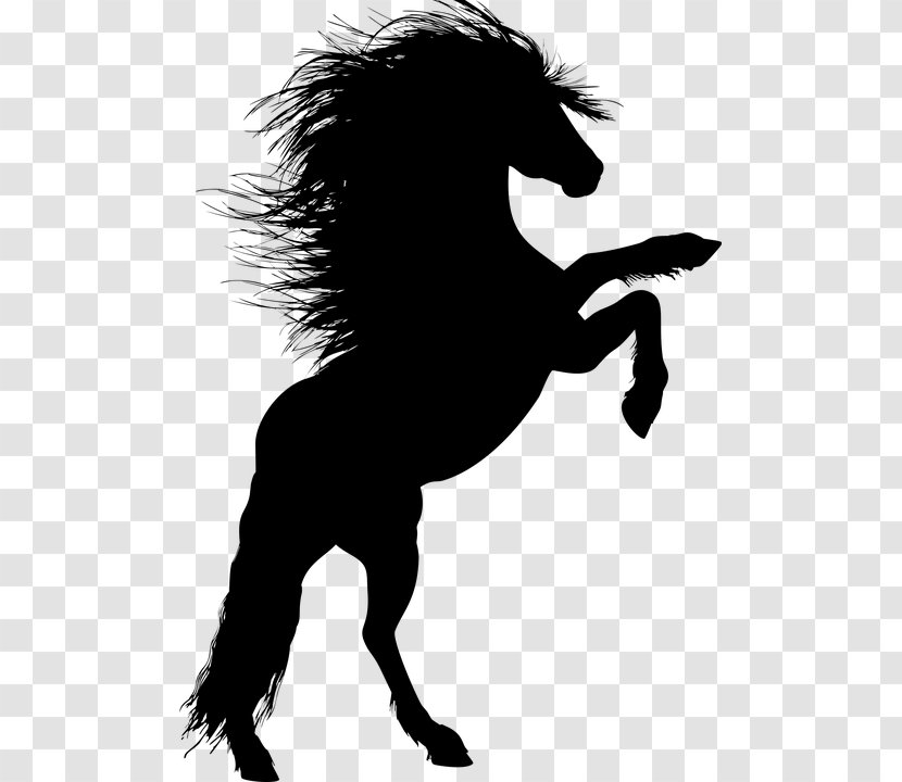 Horse Unicorn Legendary Creature Silhouette - Rearing Transparent PNG