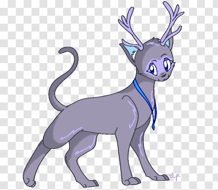 Cat Reindeer Canidae Macropodidae - Organism Transparent PNG