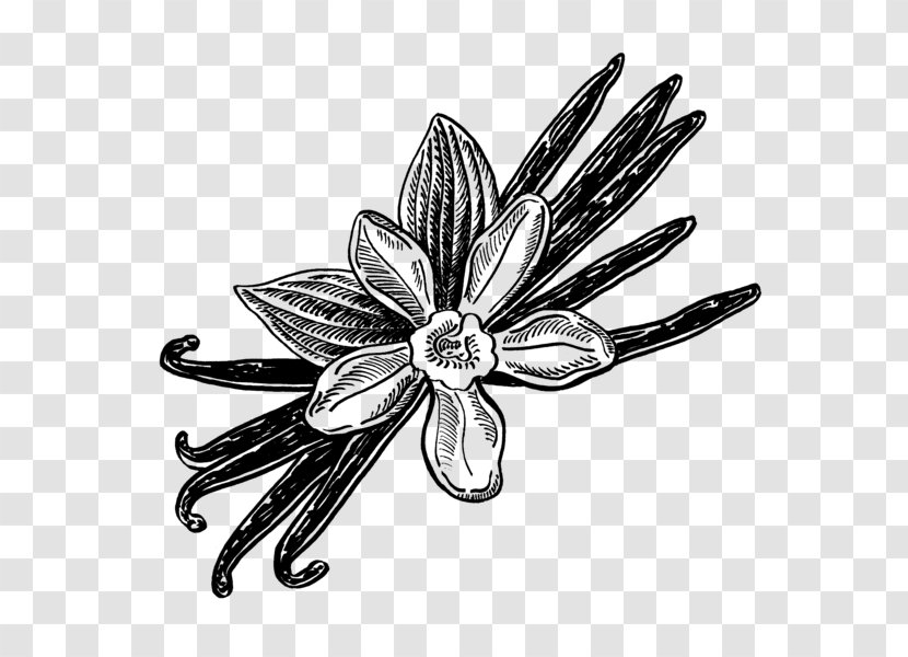 Flower Body Jewellery White - Fashion Accessory Transparent PNG