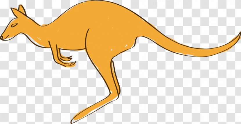 Kangaroo Drawing - Marsupial - Hand-painted Cartoon Transparent PNG
