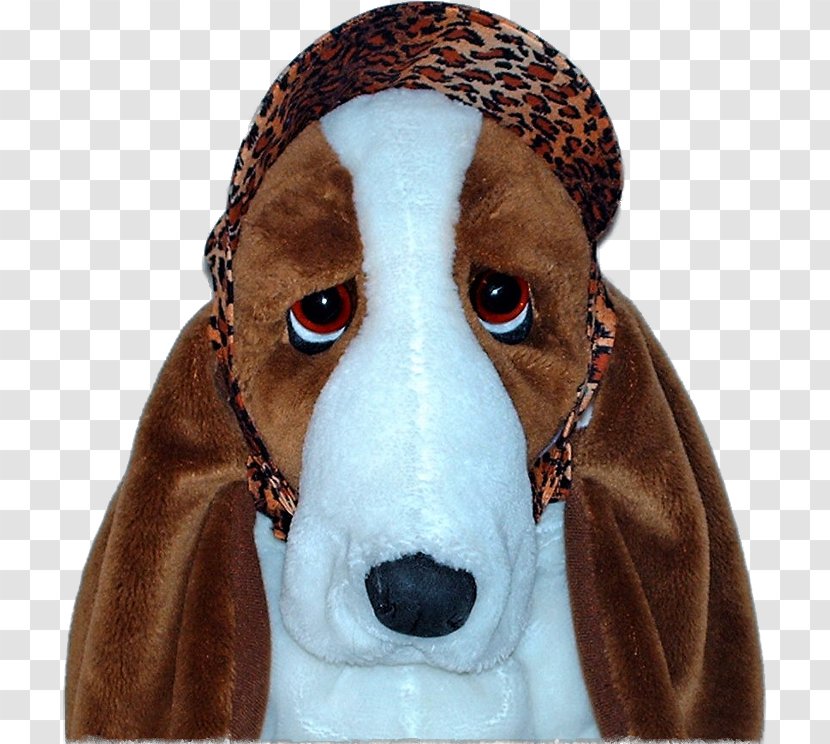 Dog Breed Snout Headgear Transparent PNG