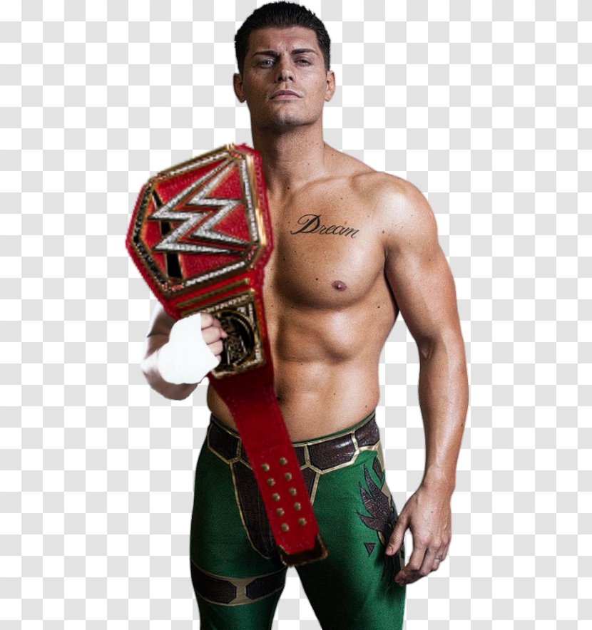 Cody Rhodes Impact! Money In The Bank Ladder Match Professional Wrestling Impact - Watercolor - Flower Transparent PNG