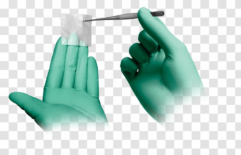 Amnion Tissue Fascia Allotransplantation Bone - Glove Transparent PNG