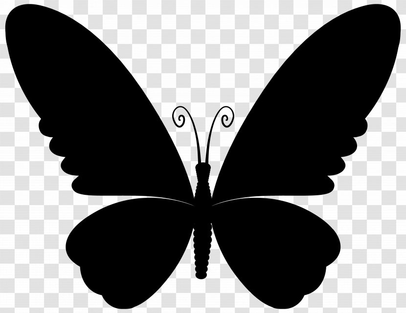 Agar.io Monarch Butterfly Nebulous Tart Image - Brushfooted Butterflies - Monochrome Transparent PNG