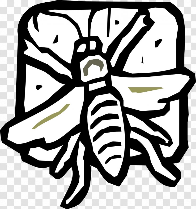 Bee Insect Bird Clip Art Transparent PNG