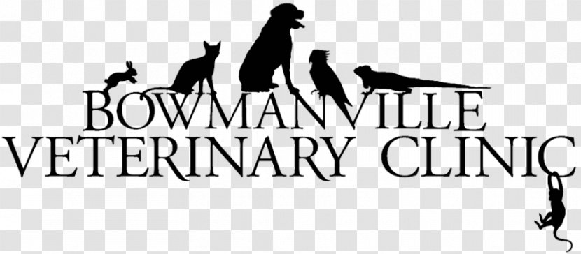 Logo Mammal Hardanger Embroidery Human Behavior Font - Pet Clinic Transparent PNG