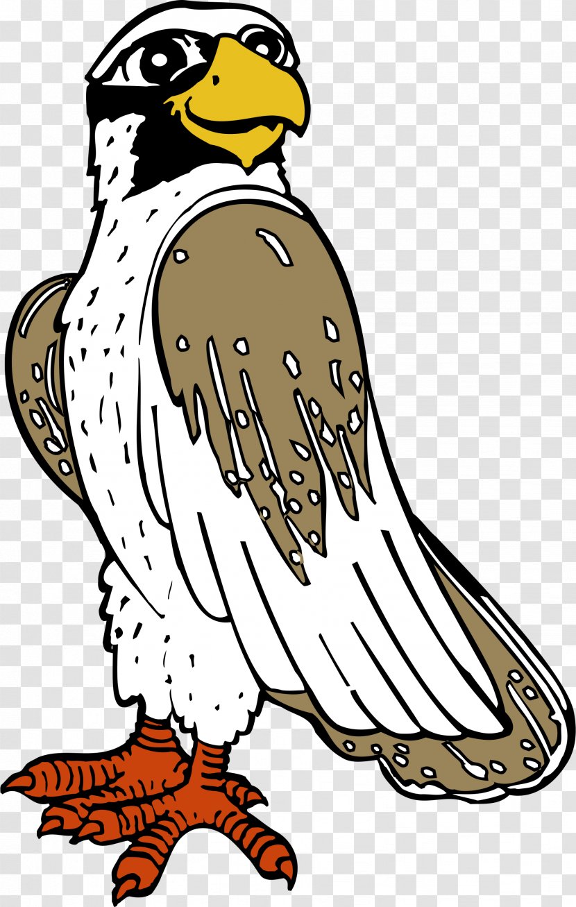 Beak Bird Of Prey Character Clip Art Transparent PNG