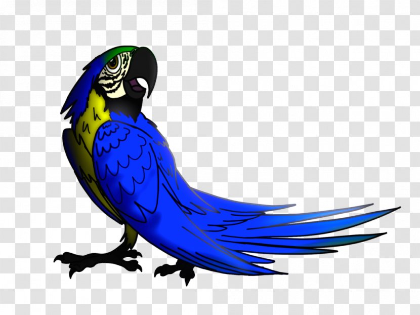 Military Macaw Parrot Parakeet Blu - Perico Transparent PNG