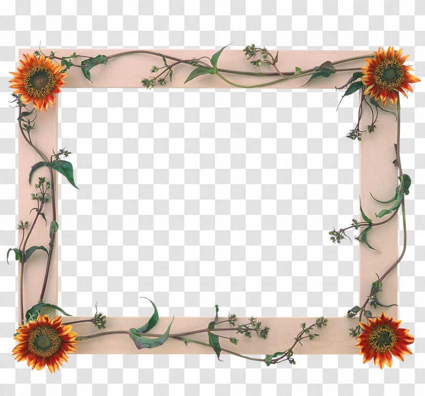 Picture Frames Photography Clip Art - Flower - Display Resolution Transparent PNG