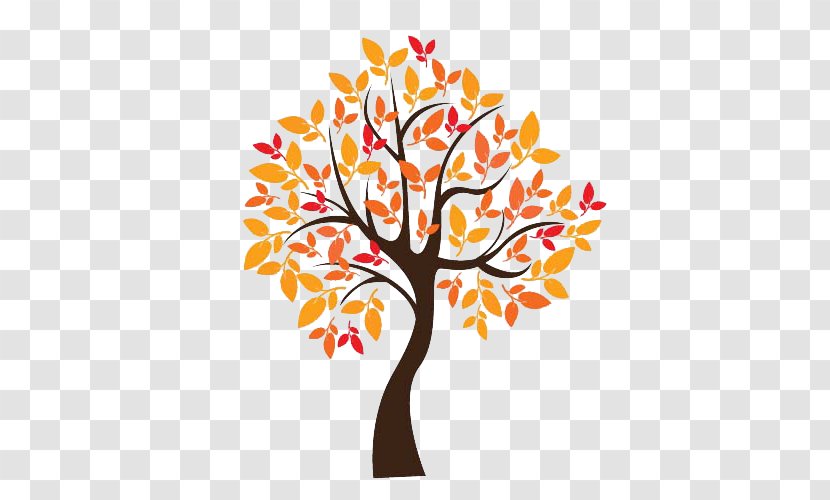 Tree Autumn - Leaf Color Transparent PNG