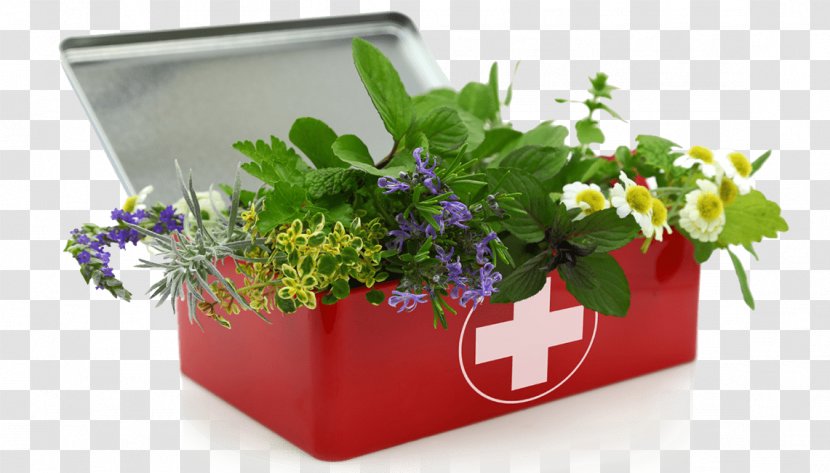 First Aid Kits Herbalism Herbal By Raleigh Briggs - Flowerpot - Medicinal Herbs Transparent PNG