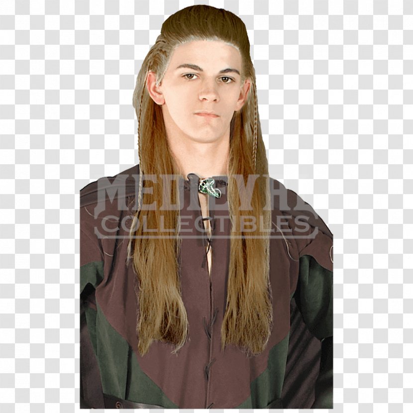 Legolas The Lord Of Rings: Fellowship Ring Frodo Baggins Wig Transparent PNG