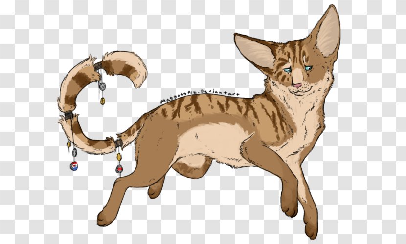 Whiskers Kitten Red Fox Wildcat Transparent PNG