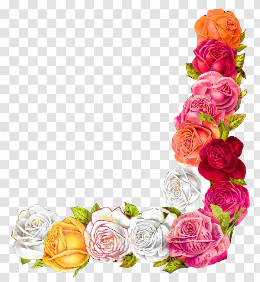 Garden Roses Floral Design Shabby Chic Clip Art - Rose Transparent PNG