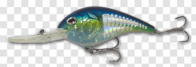 American Shad Gizzard Fish Keyword Tool United States - Wikipedia Transparent PNG