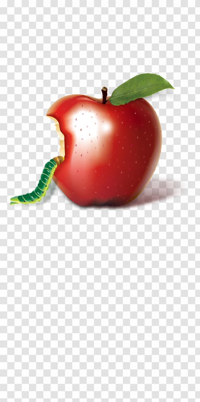 Apple Download - Strawberry - Insects Transparent PNG