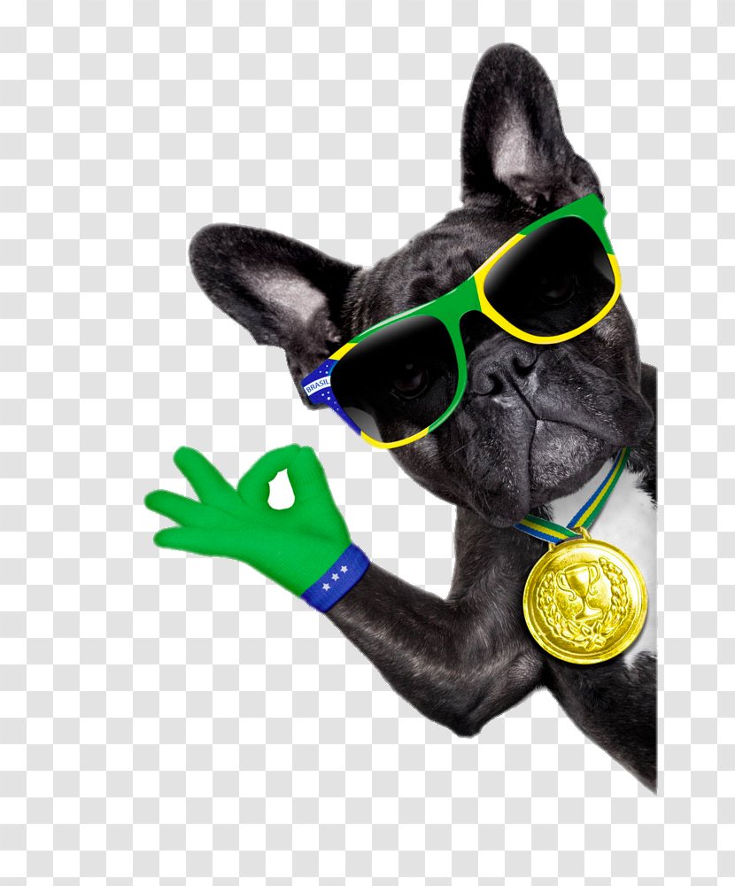 French Bulldog Puppy Stock Photography Royalty-free - Dog With Sunglasses Transparent PNG