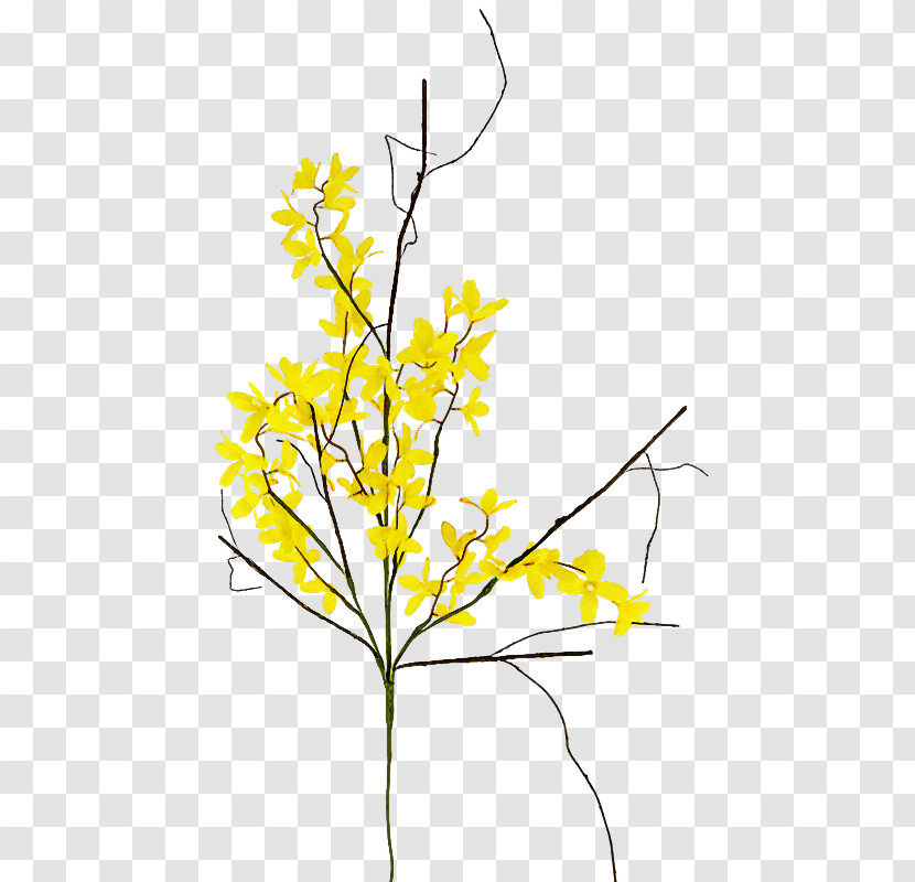 Yellow Plant Flower Branch Twig Transparent PNG