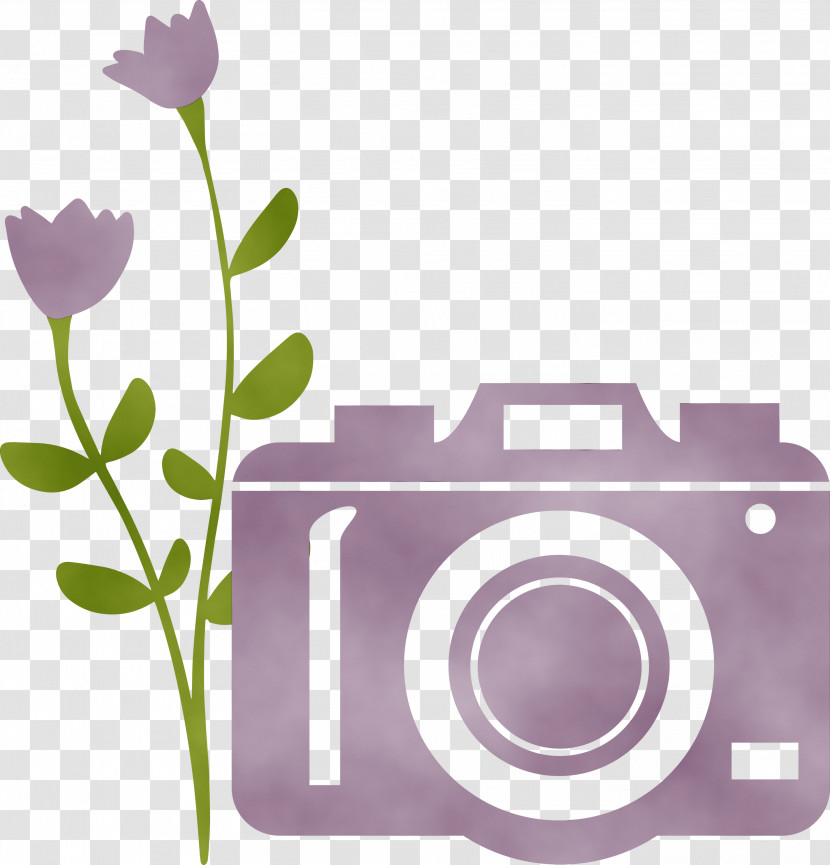 Lavender Transparent PNG