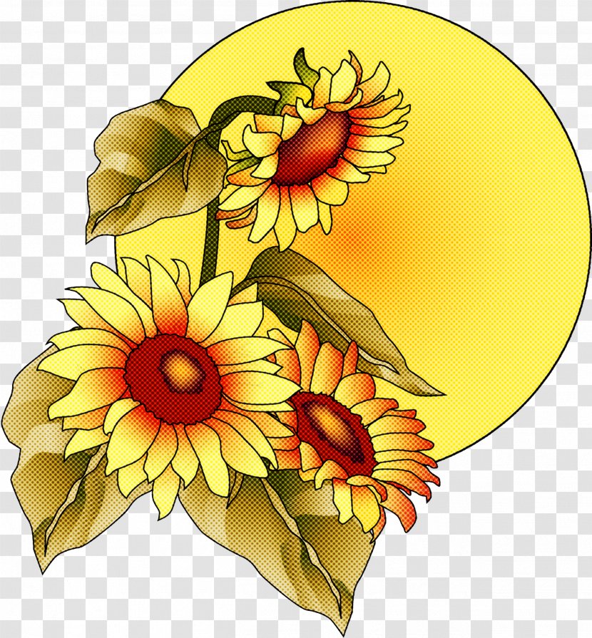 Sunflower - Yellow - Daisy Family Petal Transparent PNG