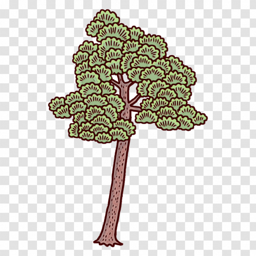 Tree Of Life Transparent PNG