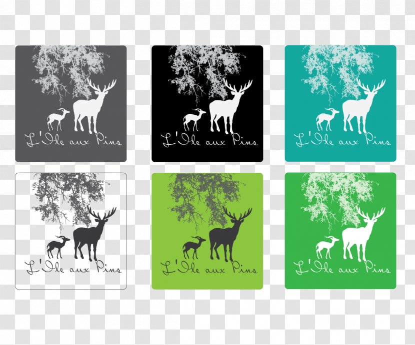 Reindeer Logo Brand Green Font - Deer - Greeting Card Designer Transparent PNG
