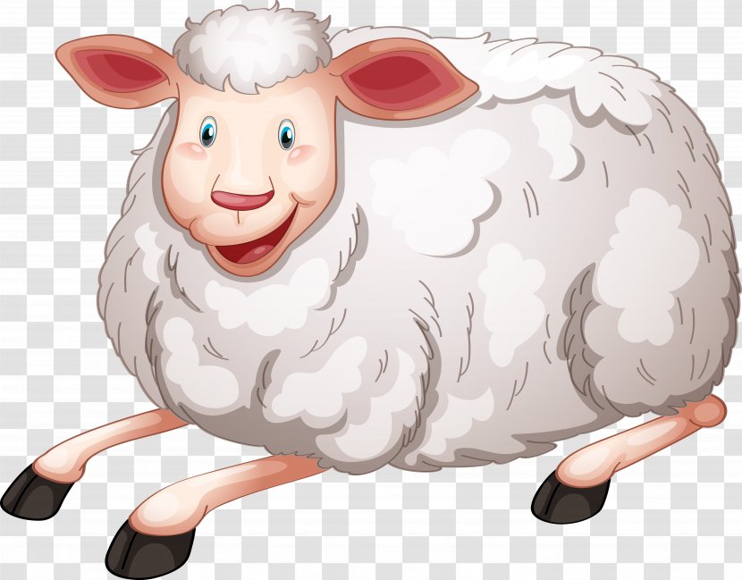 Sheep Cartoon Transparent PNG