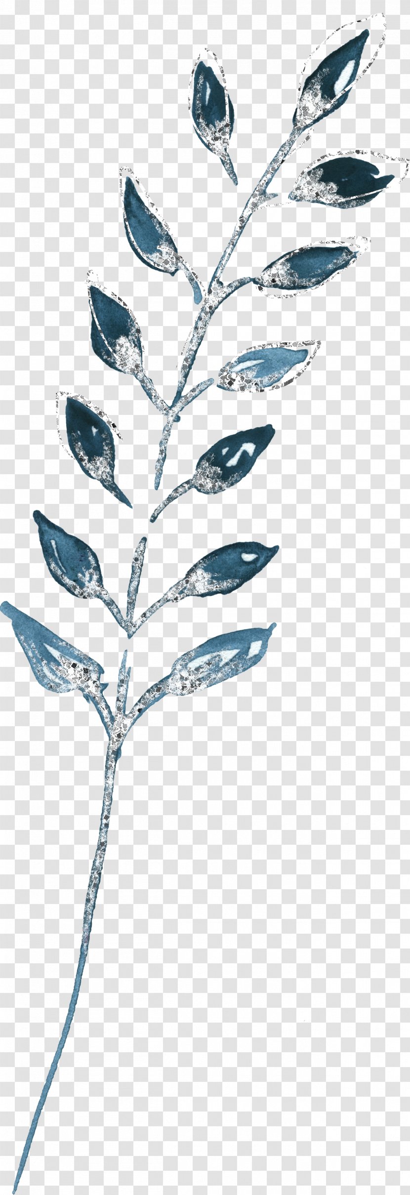 Black And White Flower - Perennial Plant - Tree Transparent PNG