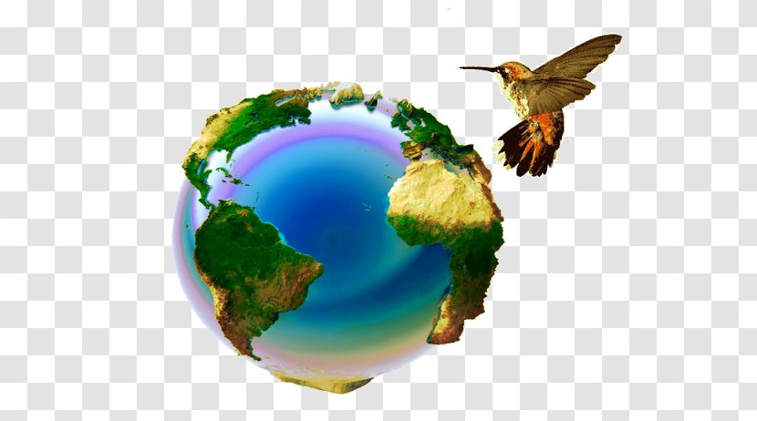 Earth Stock Photography Image Illustration - World - Holi Nepal Transparent PNG