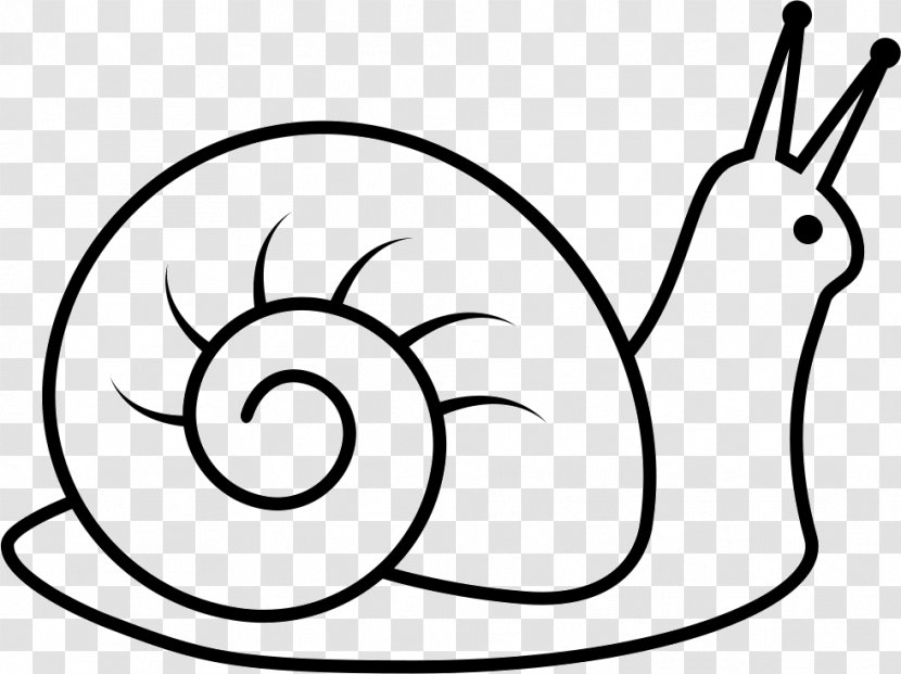 Slow Snail Drawing - Art Transparent PNG