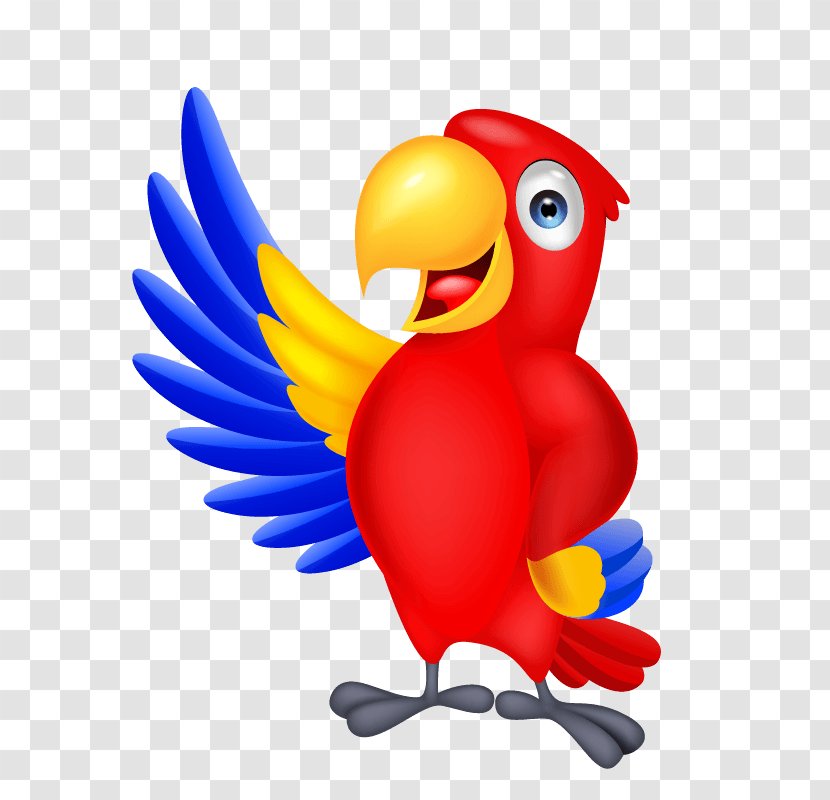 Parrot Macaw Vector Graphics Bird Royalty-free - Cartoon - Beak Transparent PNG