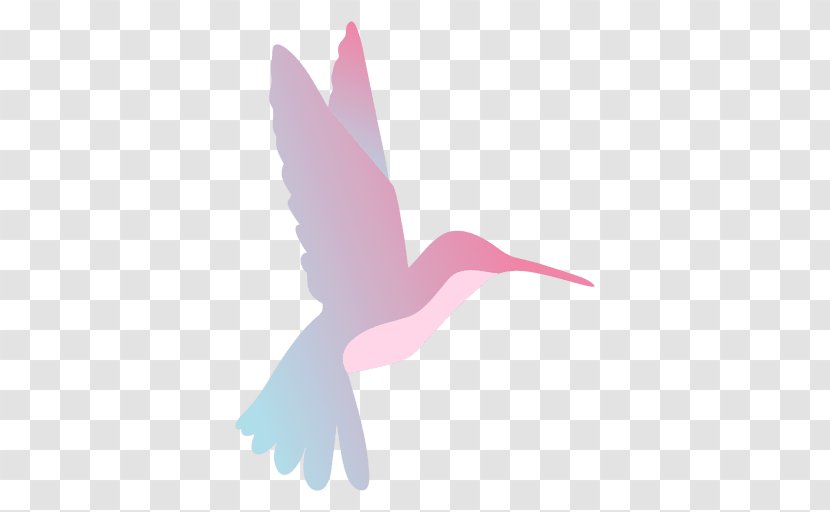 Hummingbird Violetear Silhouette - Logo - Bird Transparent PNG