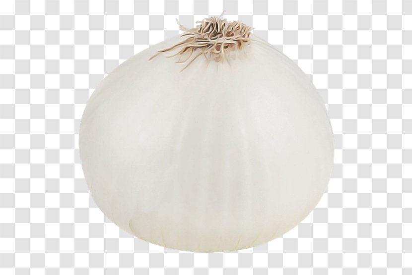 Ceiling Onion Plant Ornament Transparent PNG