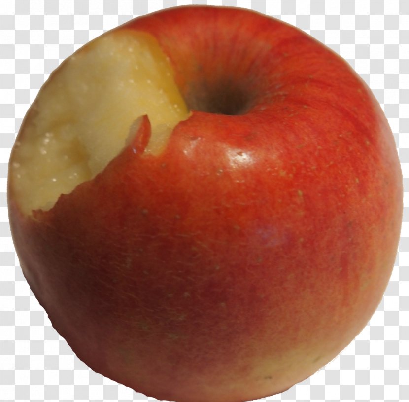 Diet Food Local Nectarine - Mcintosh Laboratory - Apple Transparent PNG